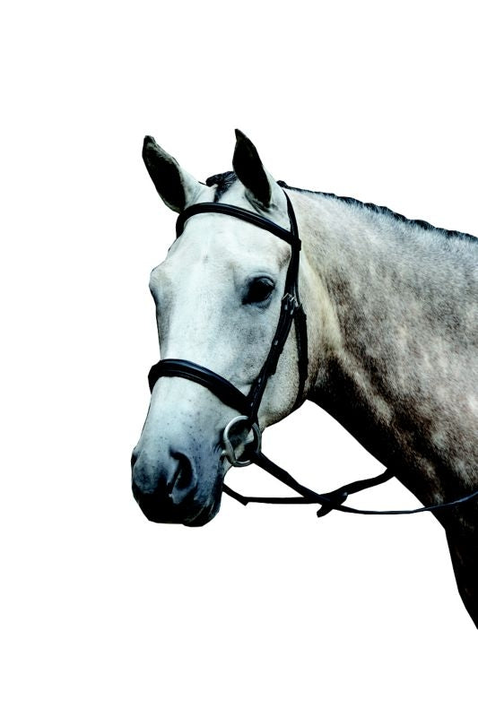 Collegiate Essential Cavesson Bridle