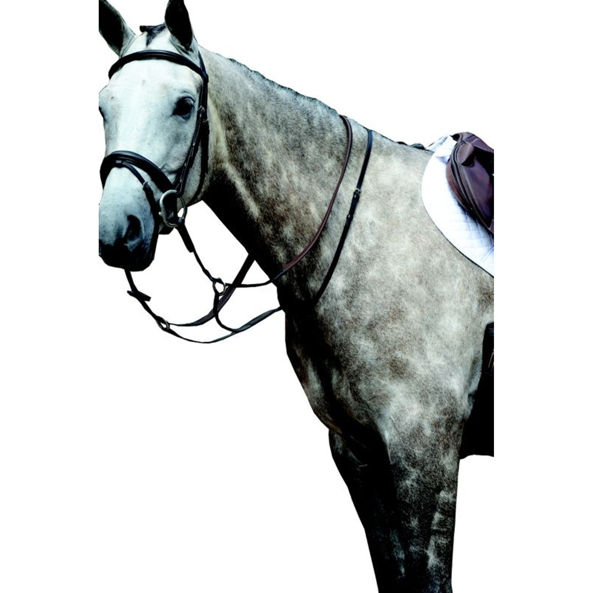 Collegiate Essential Flat Martingale