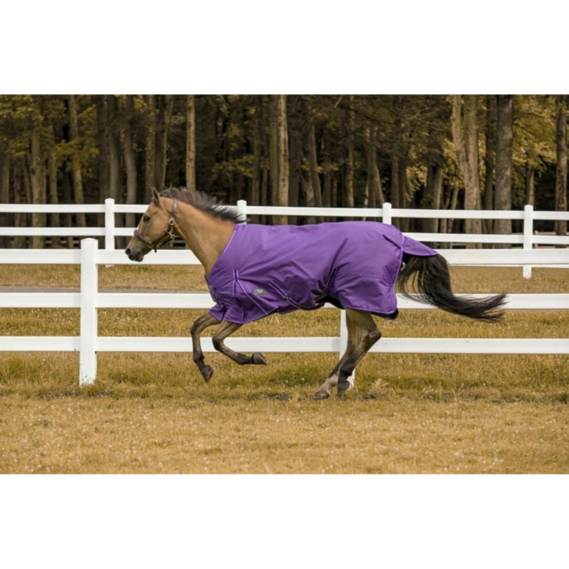 TuffRider 600D Comfy Turnout Blanket