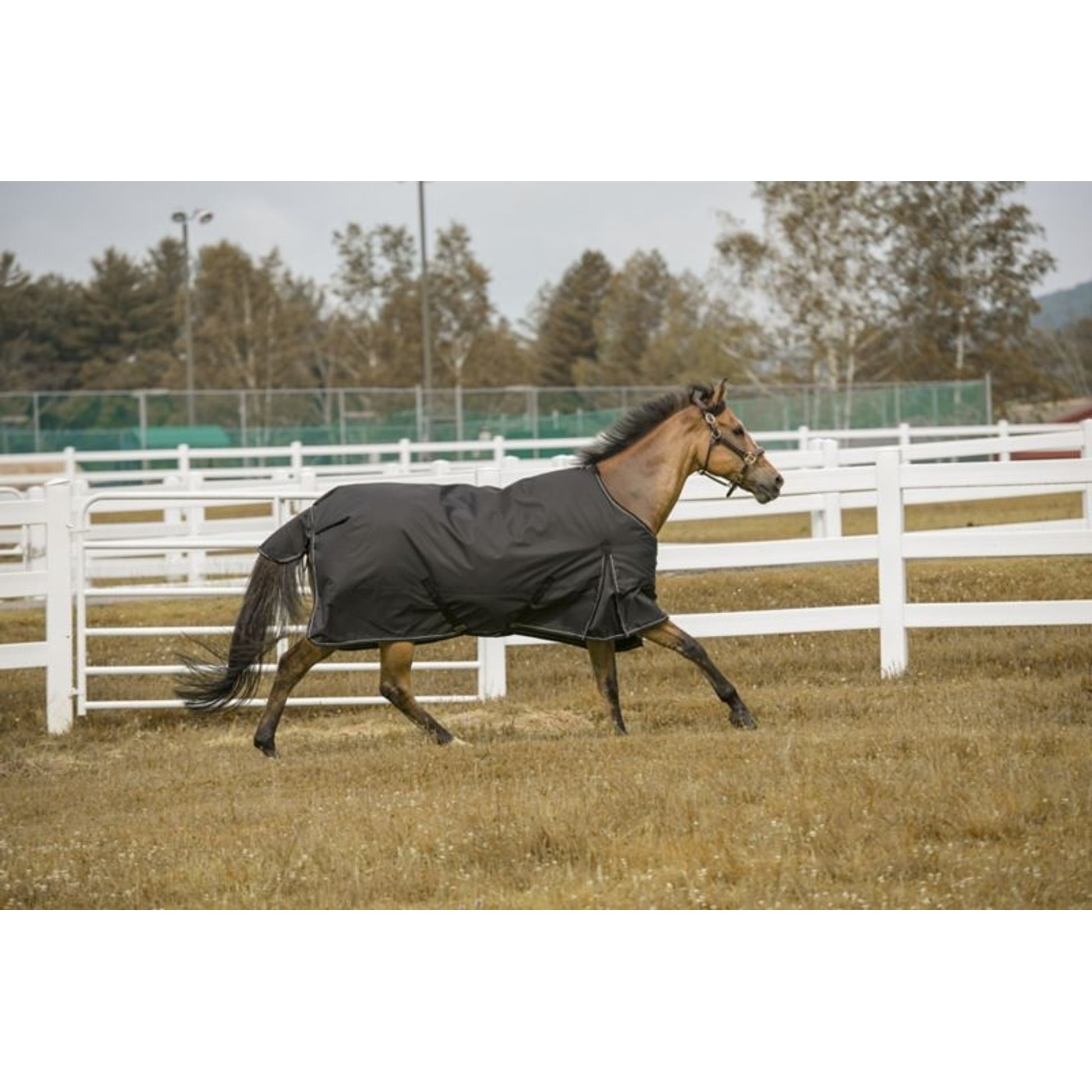 TuffRider 600D Comfy Turnout Blanket
