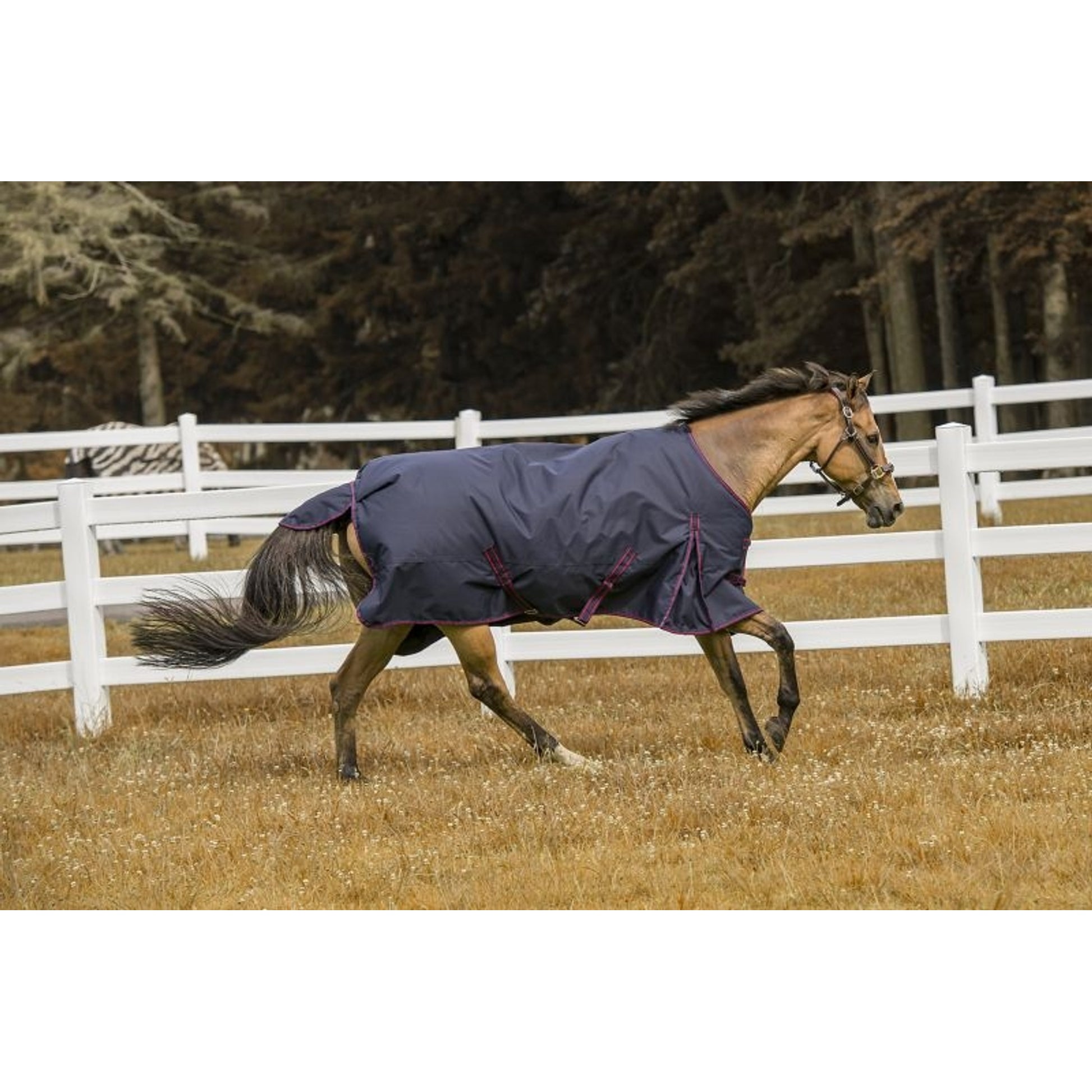 TuffRider 600D Comfy Turnout Blanket
