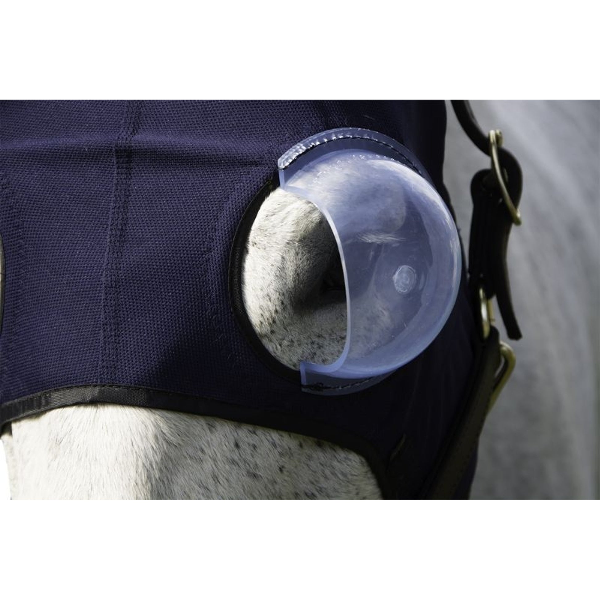 Equine Medi-Lens Medical Eye Hood Both Eyes