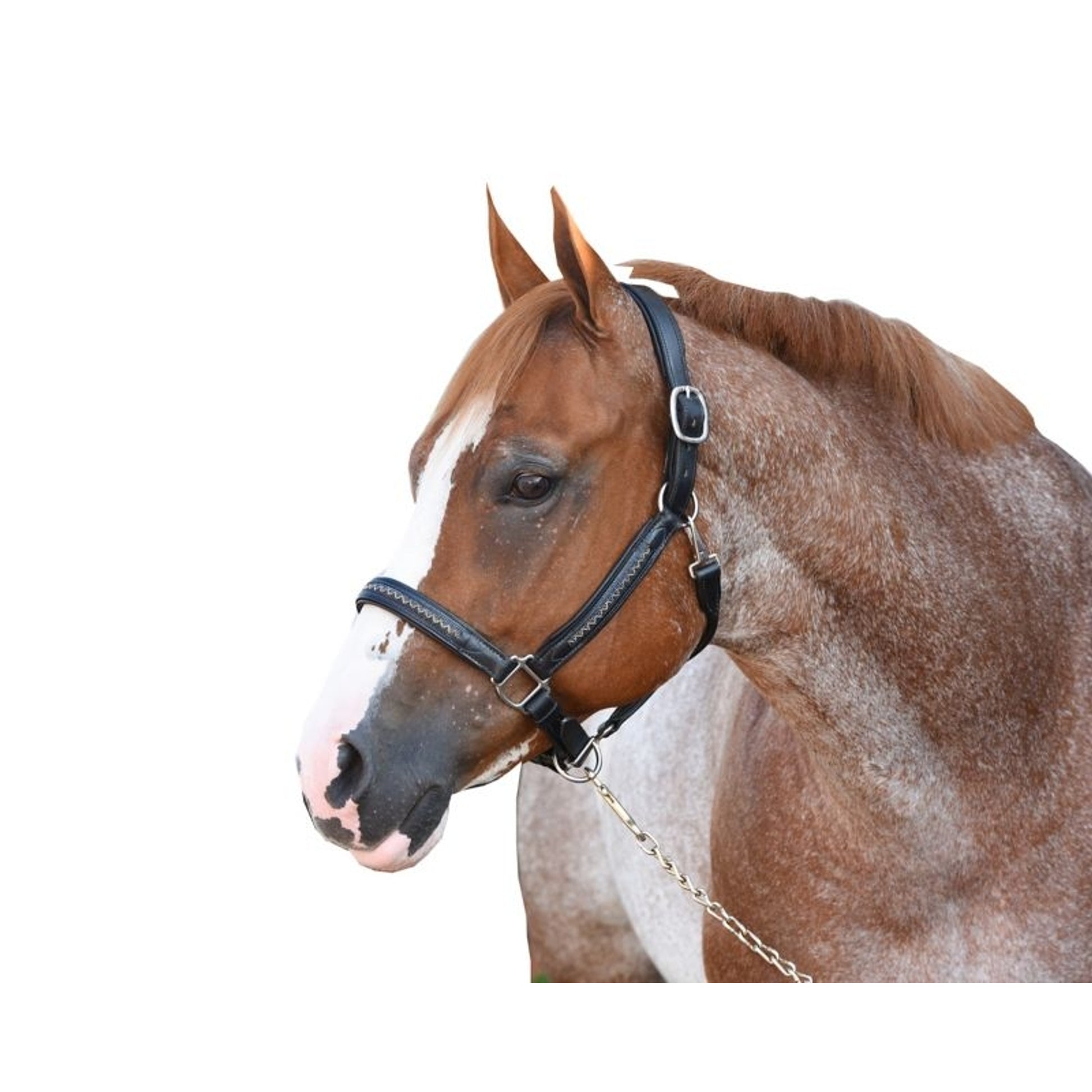 Perris Chevron Bling Halter