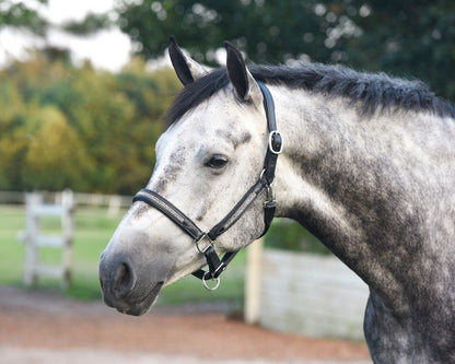 Perris Silver Bling Padded Halter