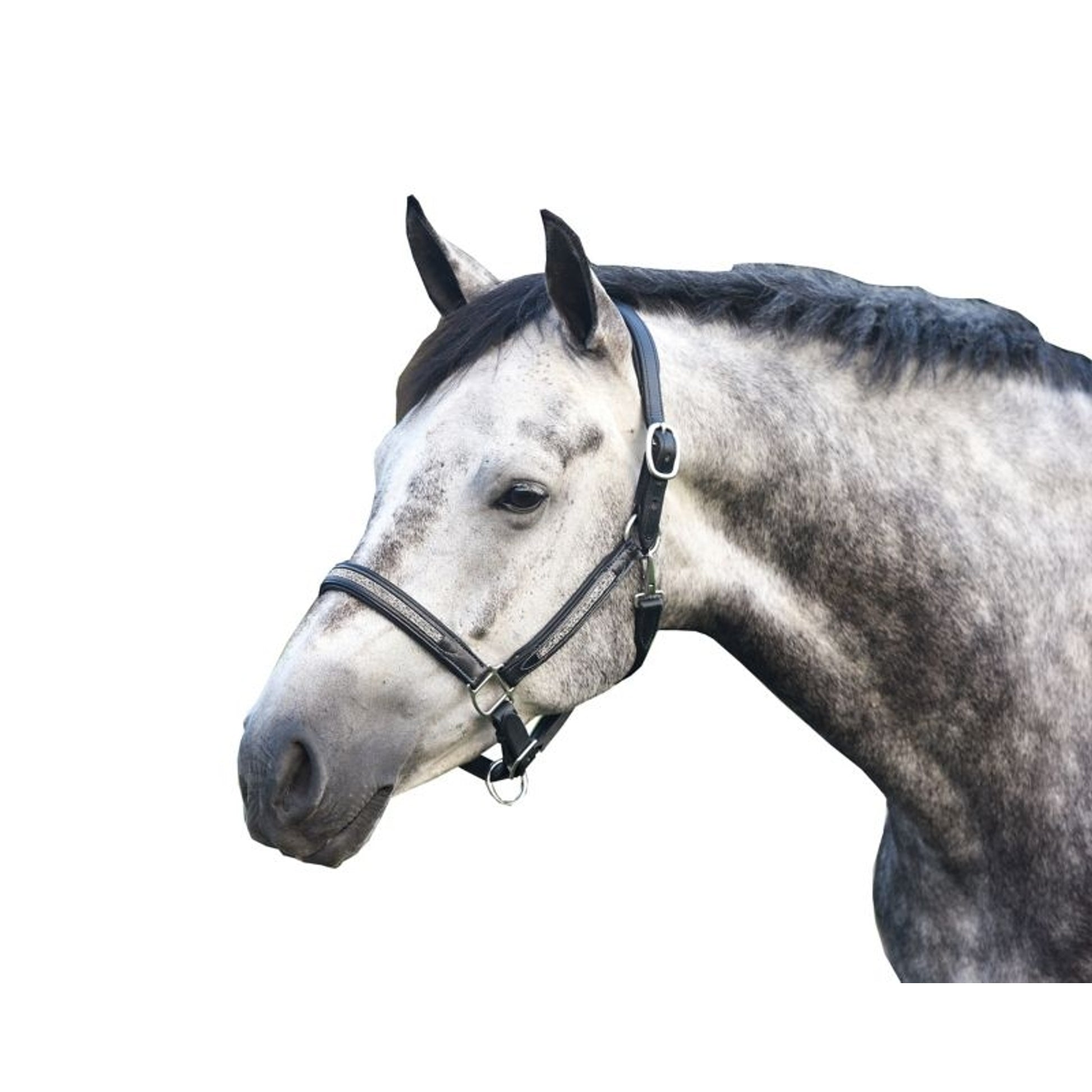 Perris Silver Bling Padded Halter