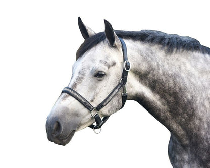 Perris Silver Bling Padded Halter