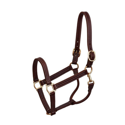 Perris Professional Show Halter