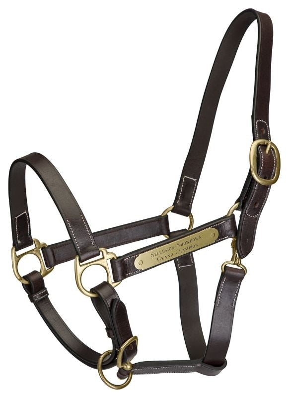 Gatsby Engraved Leather Halter with Snap