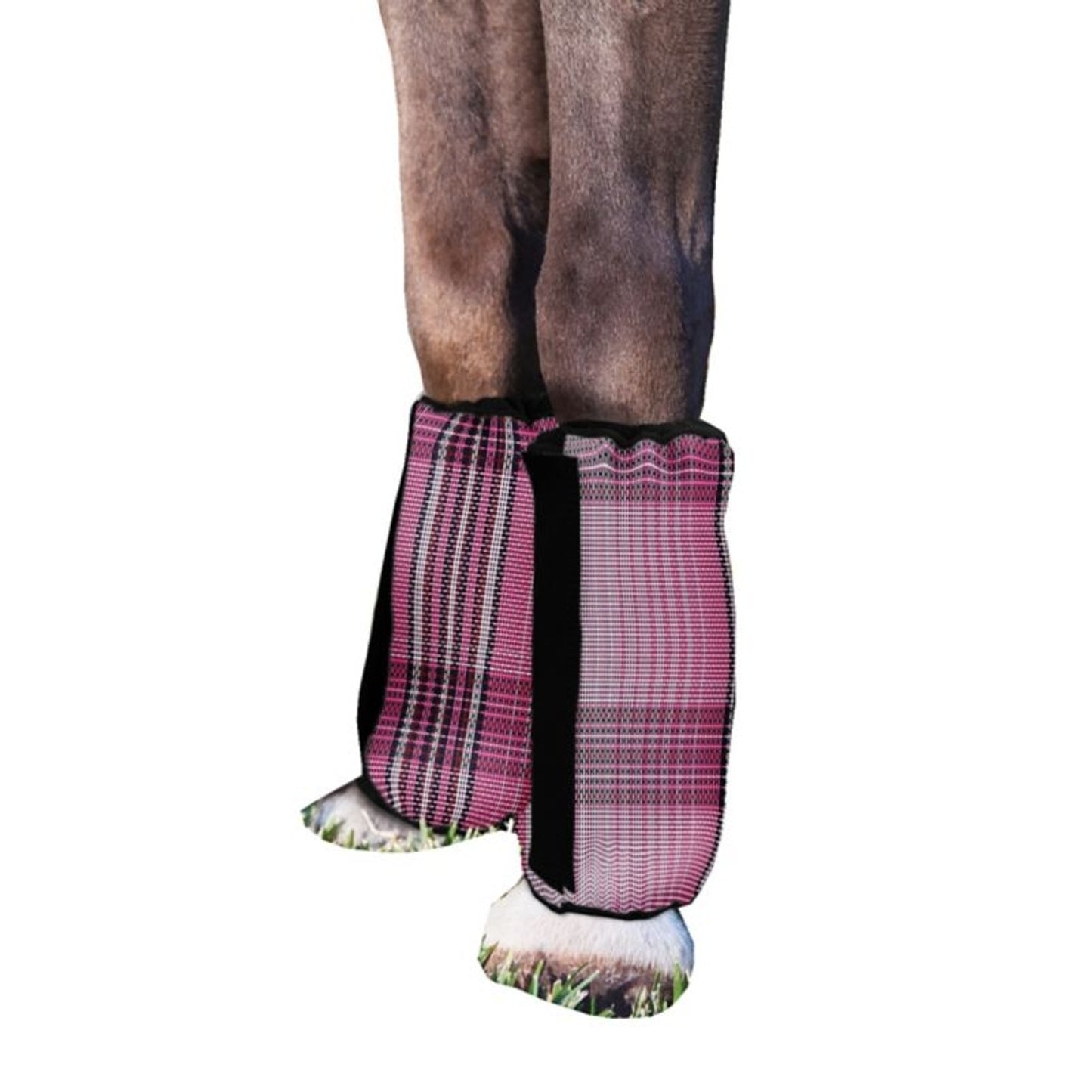 TE034126_P_WO.jpg