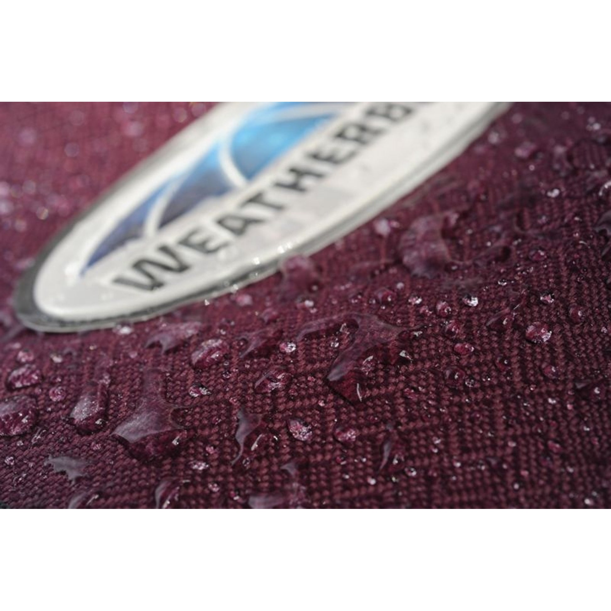 WeatherBeeta Plus Dynamic DAN Heavy