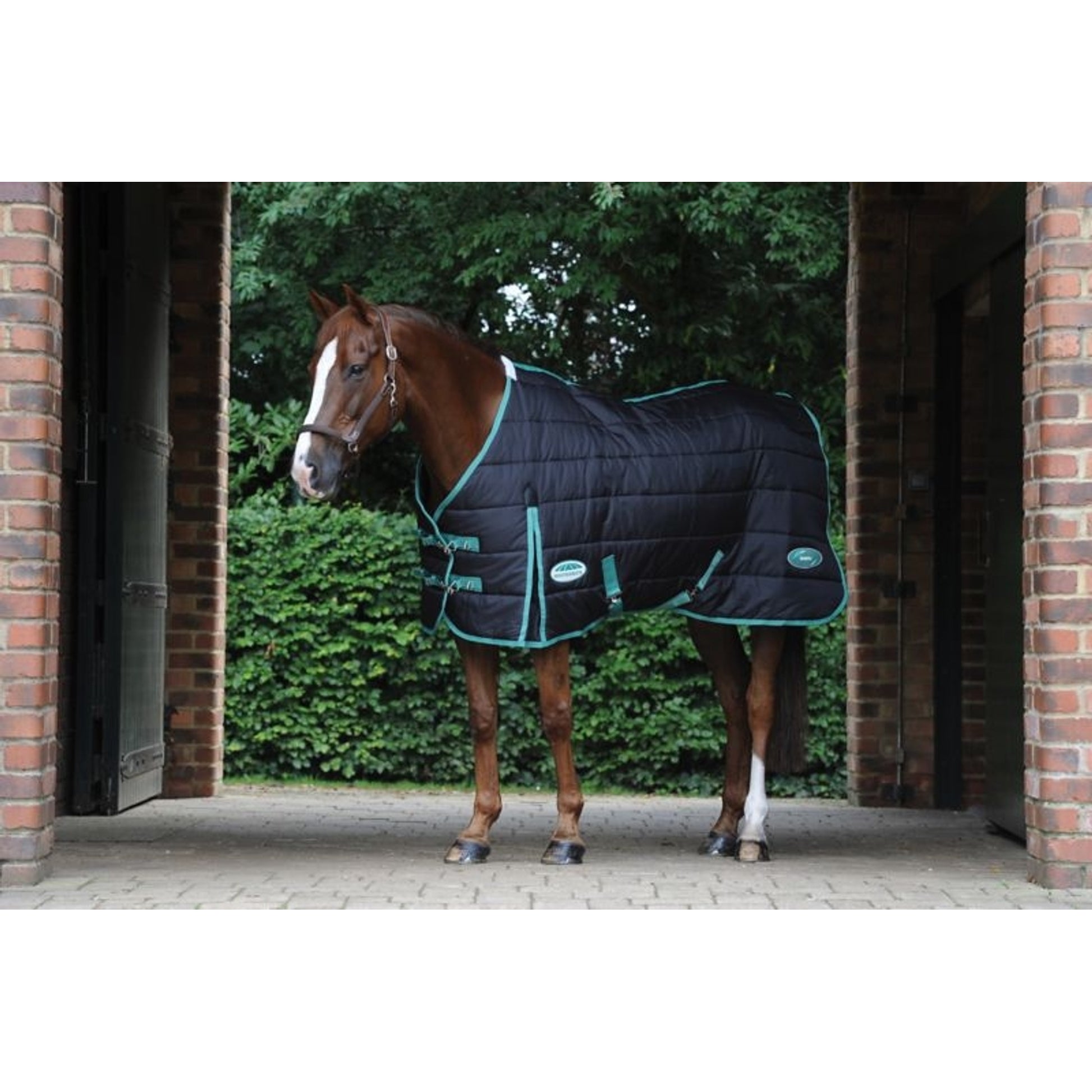 Weatherbeeta Green-Tec Stable Standard Neck Medium/Lite Turnout