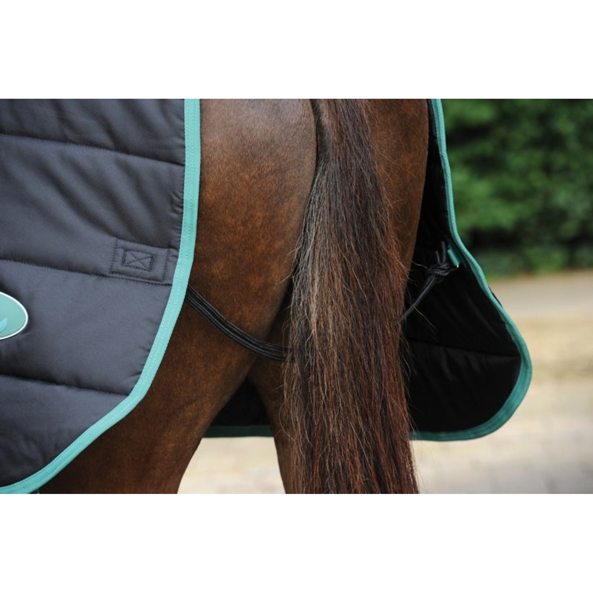 Weatherbeeta Green-Tec Stable Standard Neck Medium/Lite Turnout