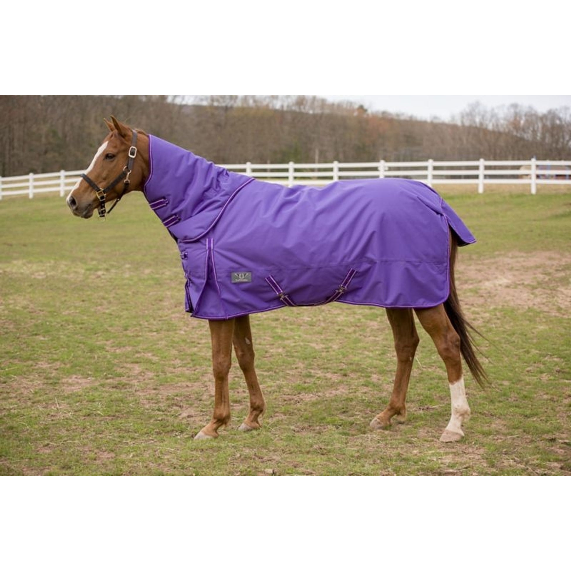 TuffRider 1200D Comfy Medium DAN Blanket