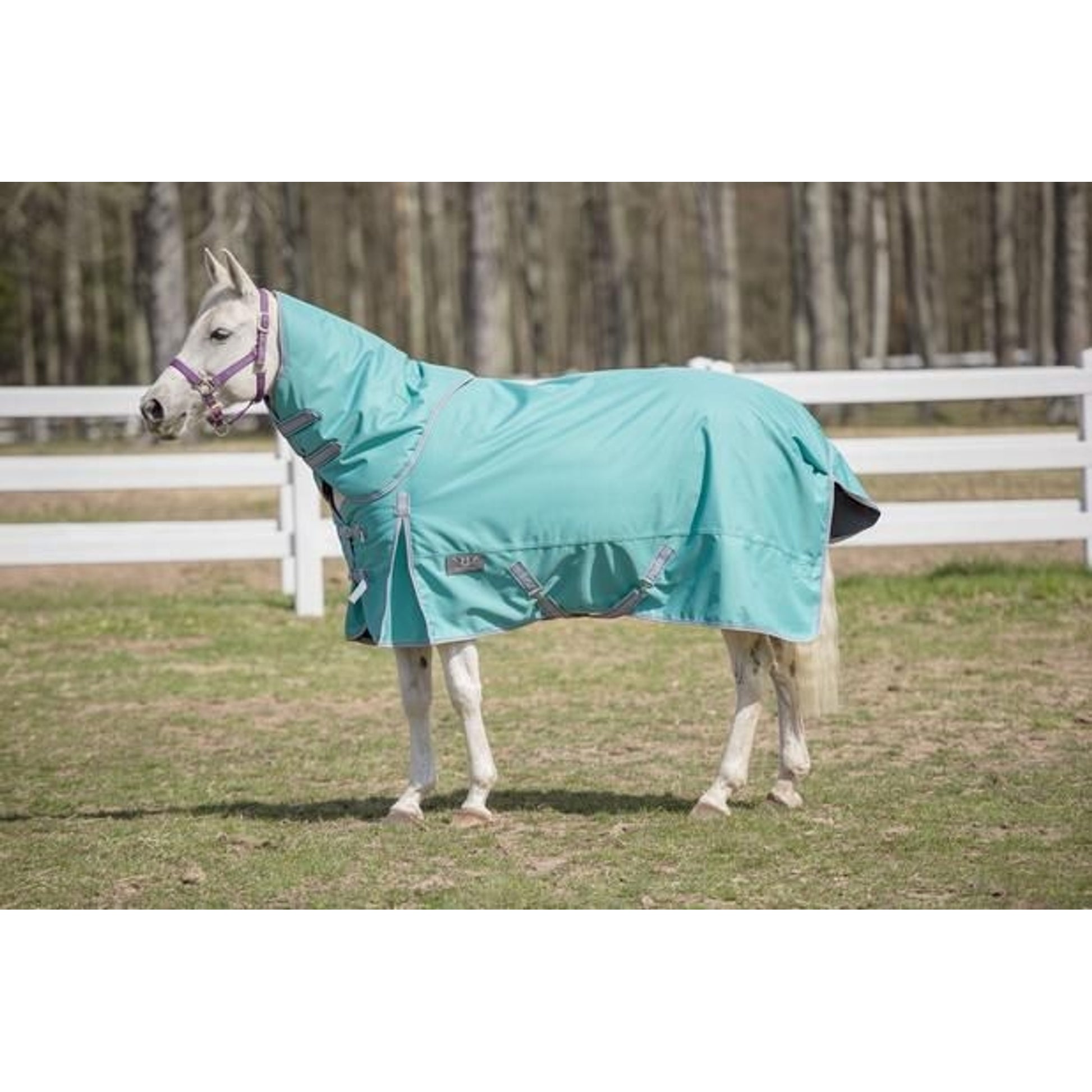 TuffRider 1200D Comfy Medium DAN Blanket