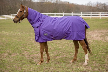 TuffRider 600D Comfy Combo Neck Blanket Medium
