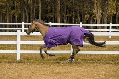 TuffRider 600D Comfy Standard Neck Sheet