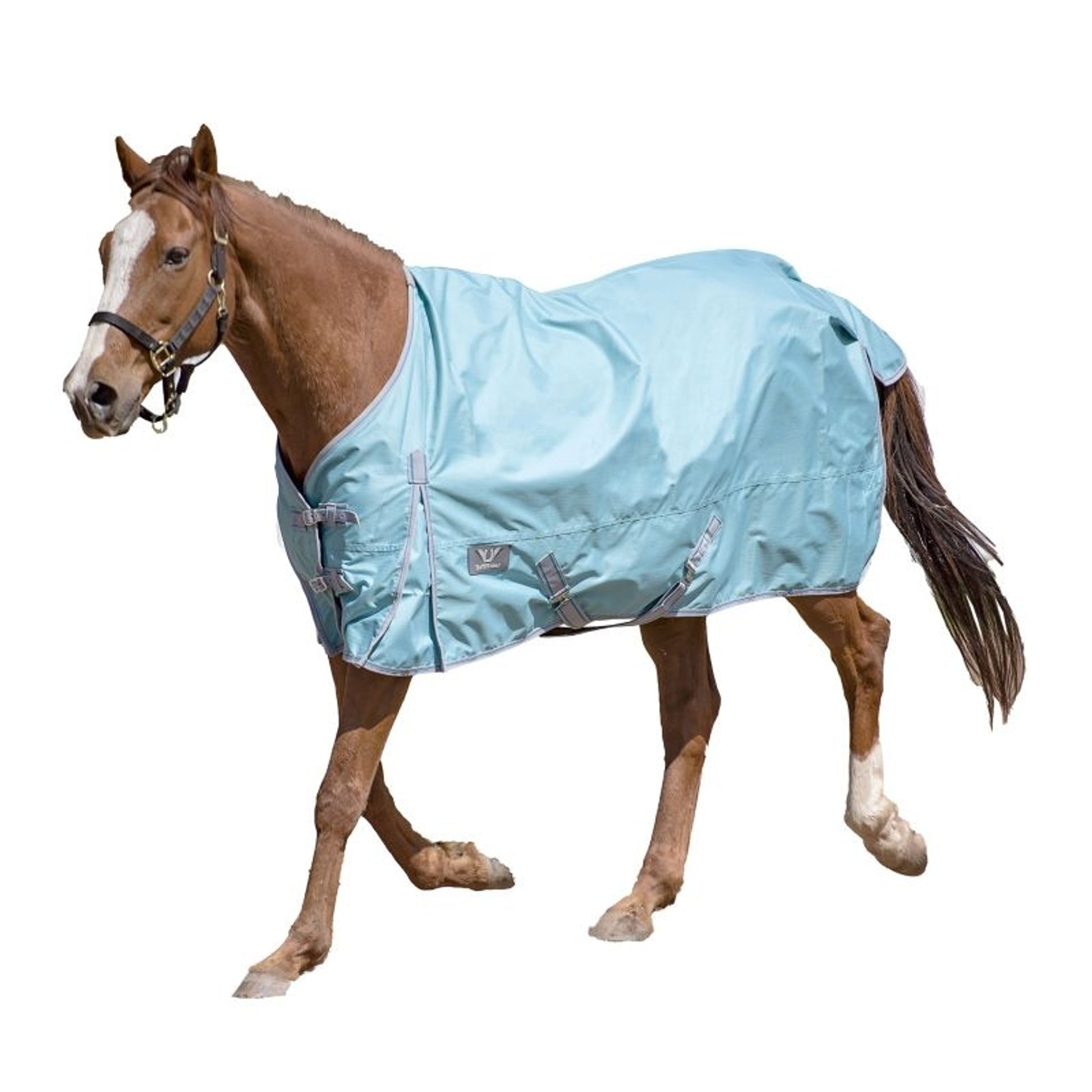 TuffRider 600D Comfy Standard Neck Sheet