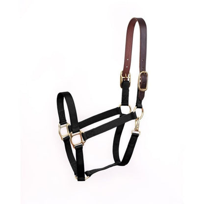 Perris Economy Safety Halter