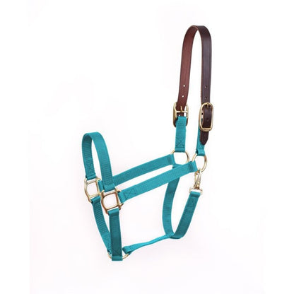 Perris Economy Safety Halter