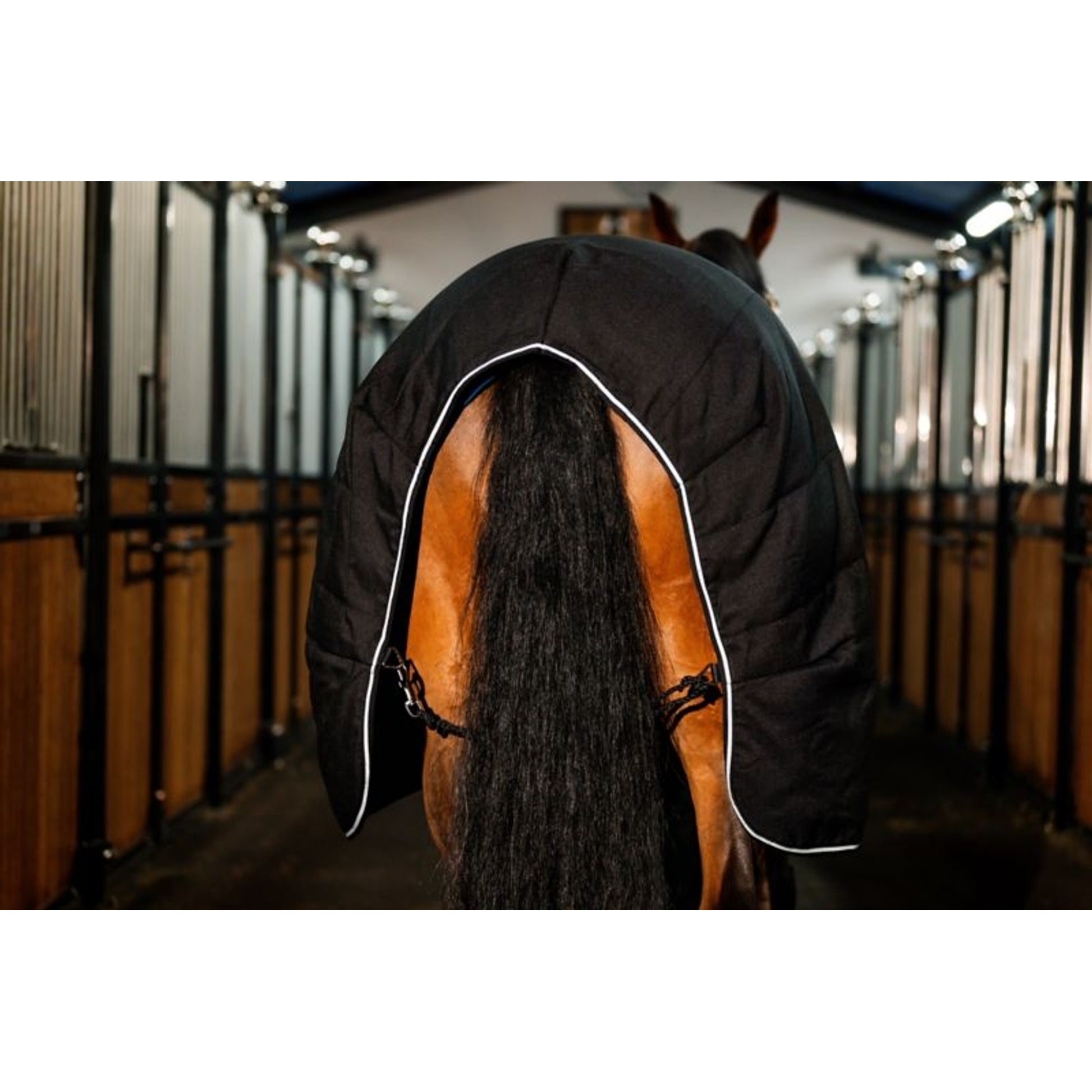Rambo Stable Blanket 200g