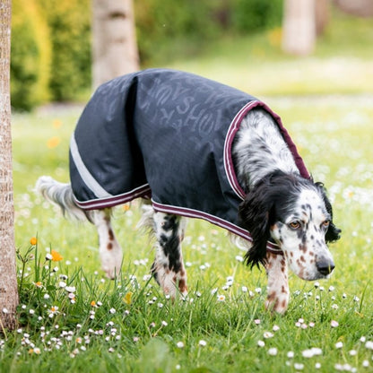 Amigo Dog Rug Ripstop