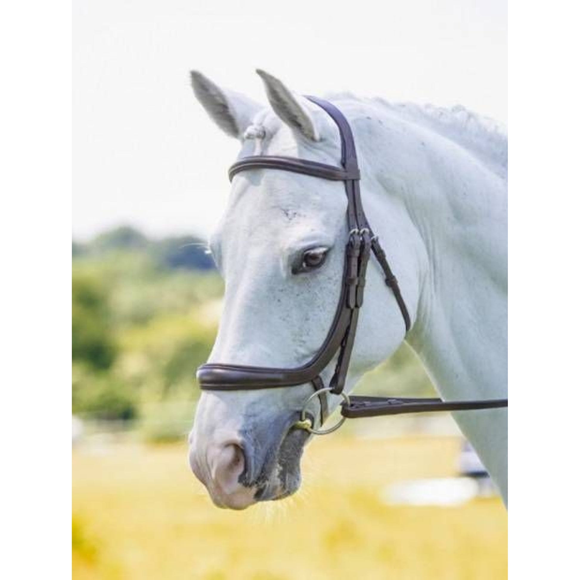 Shires Velociti Ergonomic Cavesson
