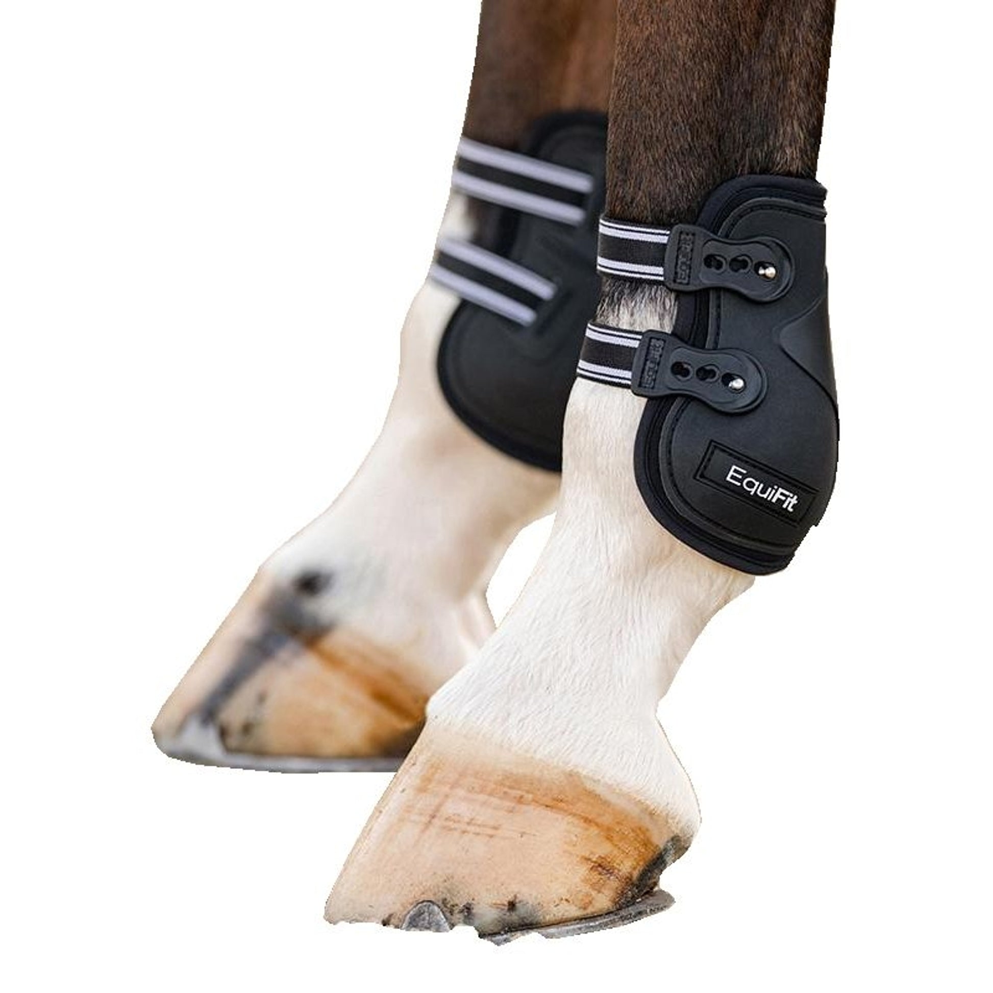 EquiFit Prolete Hind Boots with Elastic Strap
