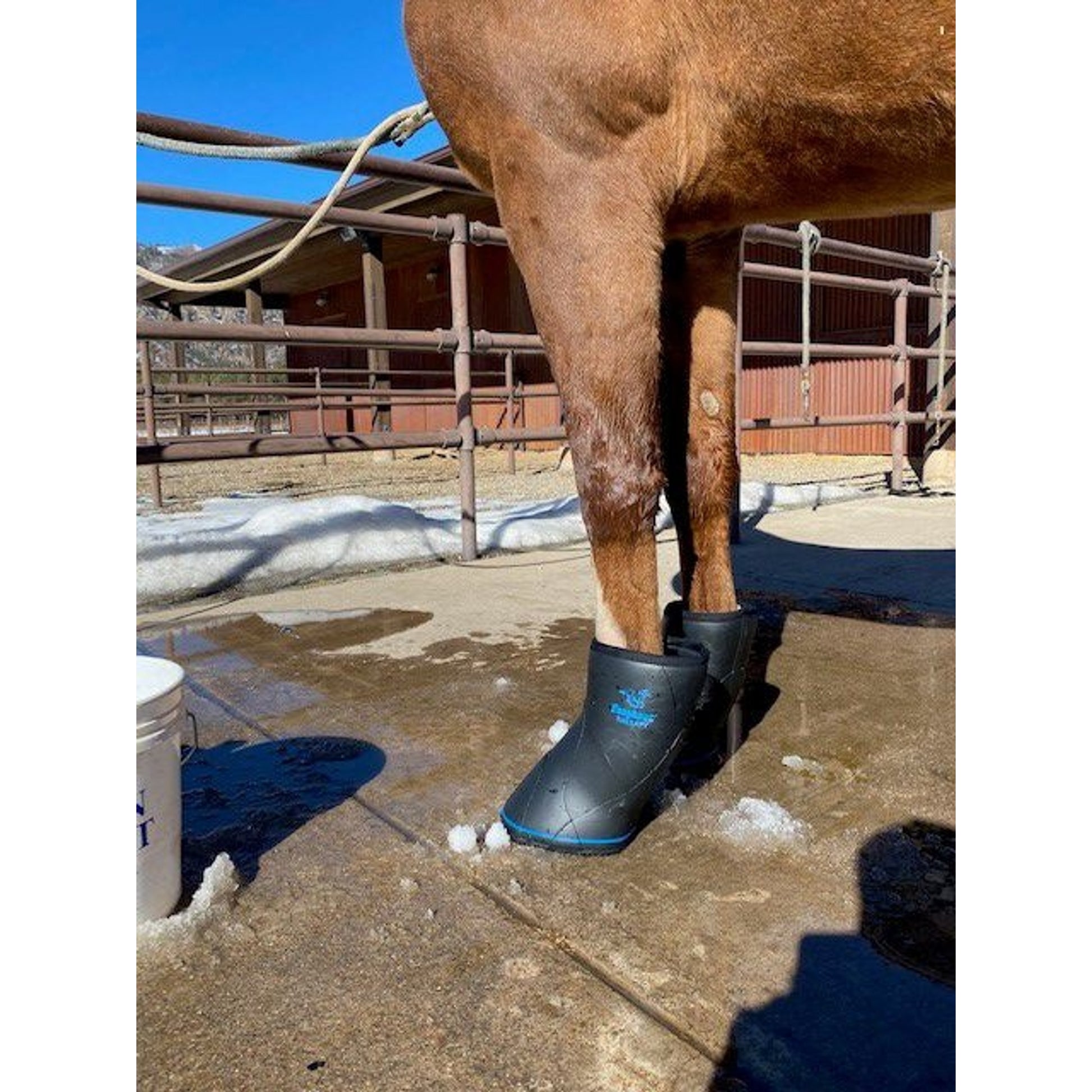 EasyCare Easyboot Remedy Soaking/Therapy Boot