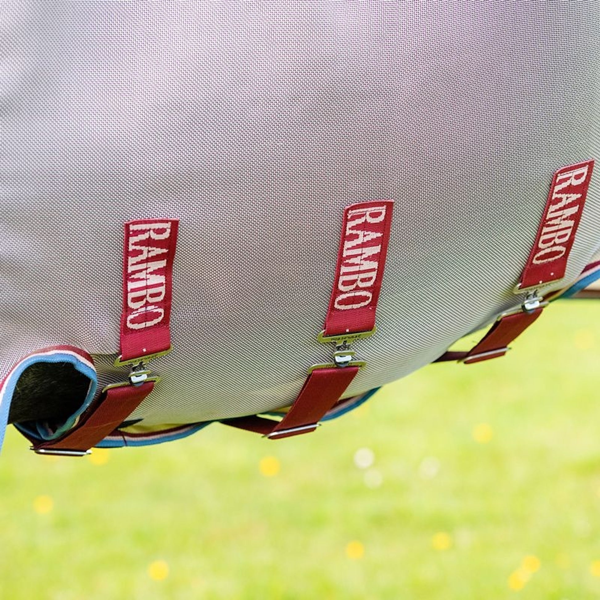 Amigo Summer Sheet Plus