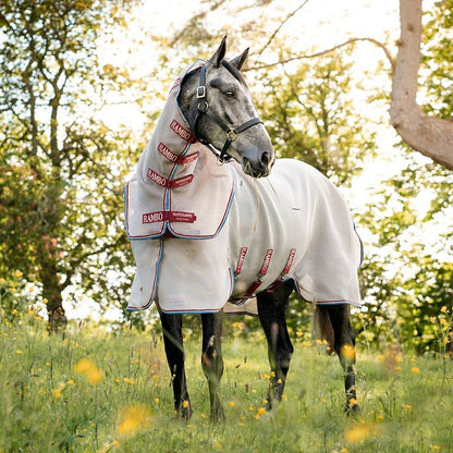 Amigo Summer Sheet Plus