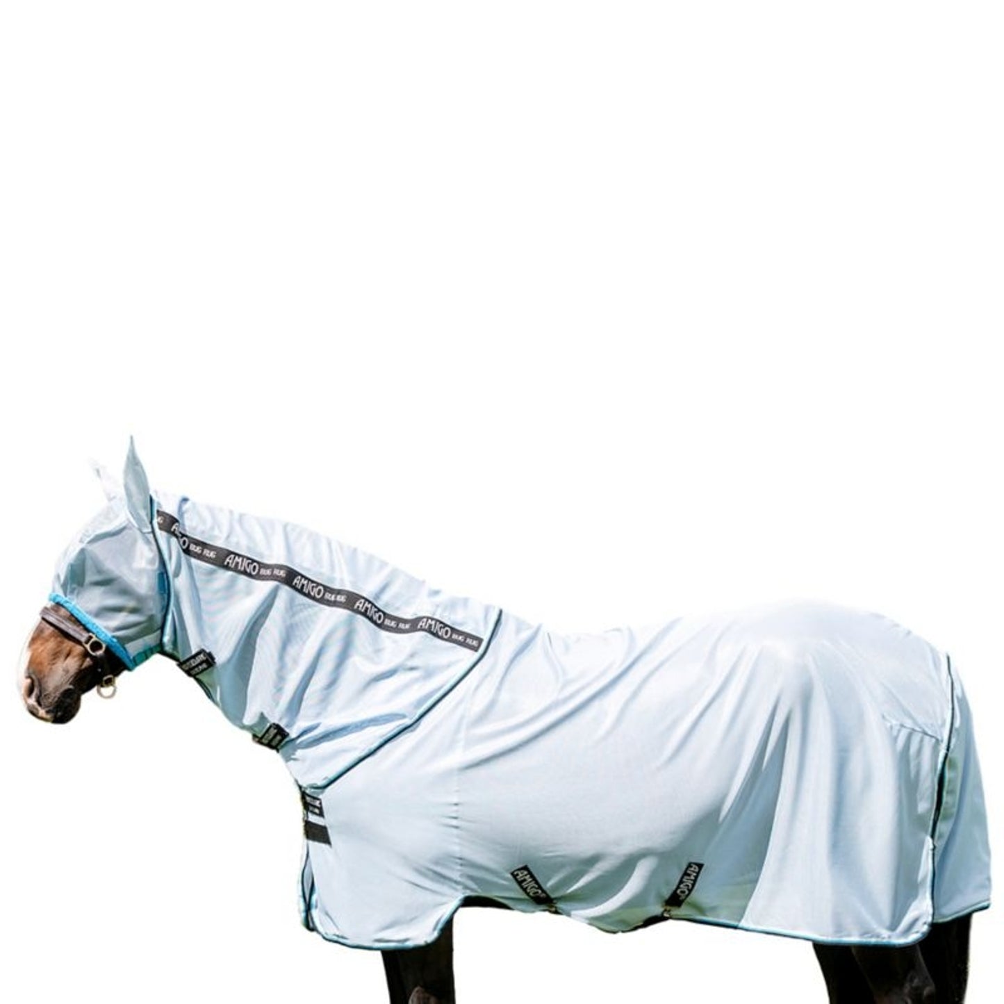 TE036039_P_WO.jpg