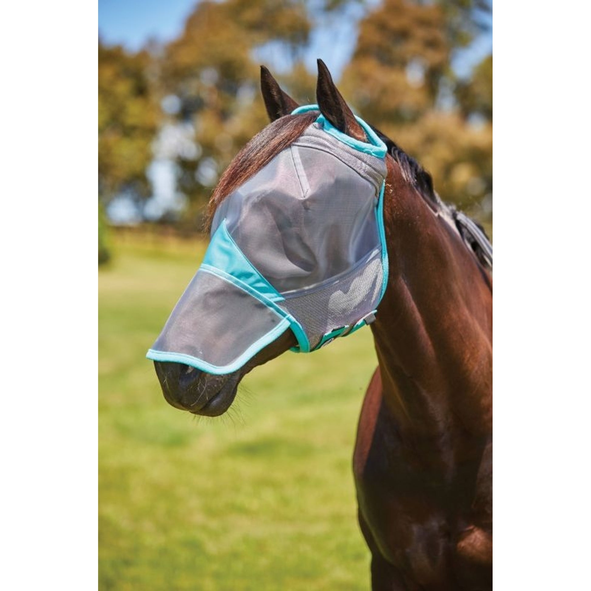 WeatherBeeta ComFiTec Deluxe Fine Mesh Mask