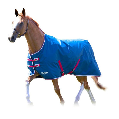 Shires Tempest Original Lite TO