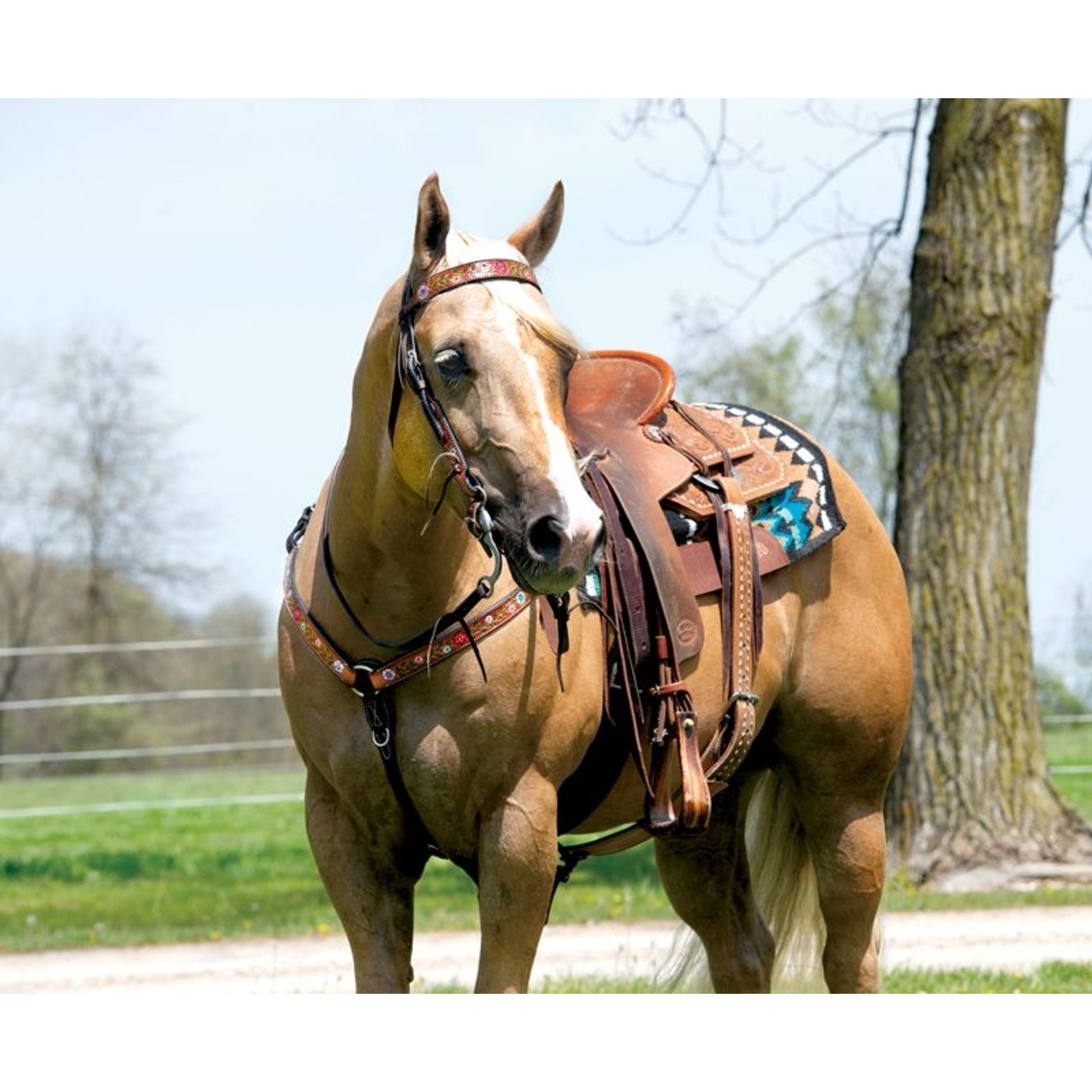 Weaver Turq Cross Floral Vine Browband Headstall