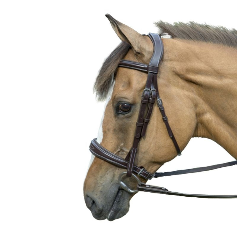 HDR Pro Mono-Crown Padded Bridle