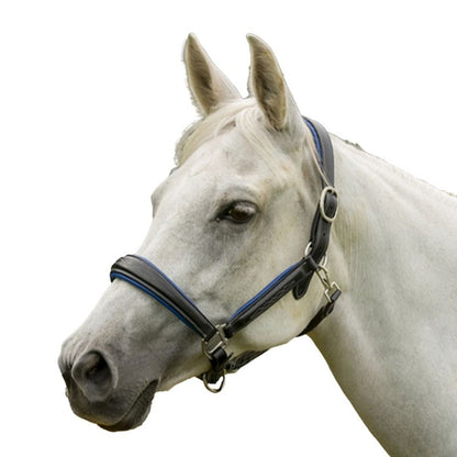 HDR Cahill Padded Halter