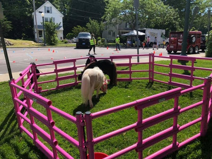 Carri-Lite Portable Mini Corral 8 Panel
