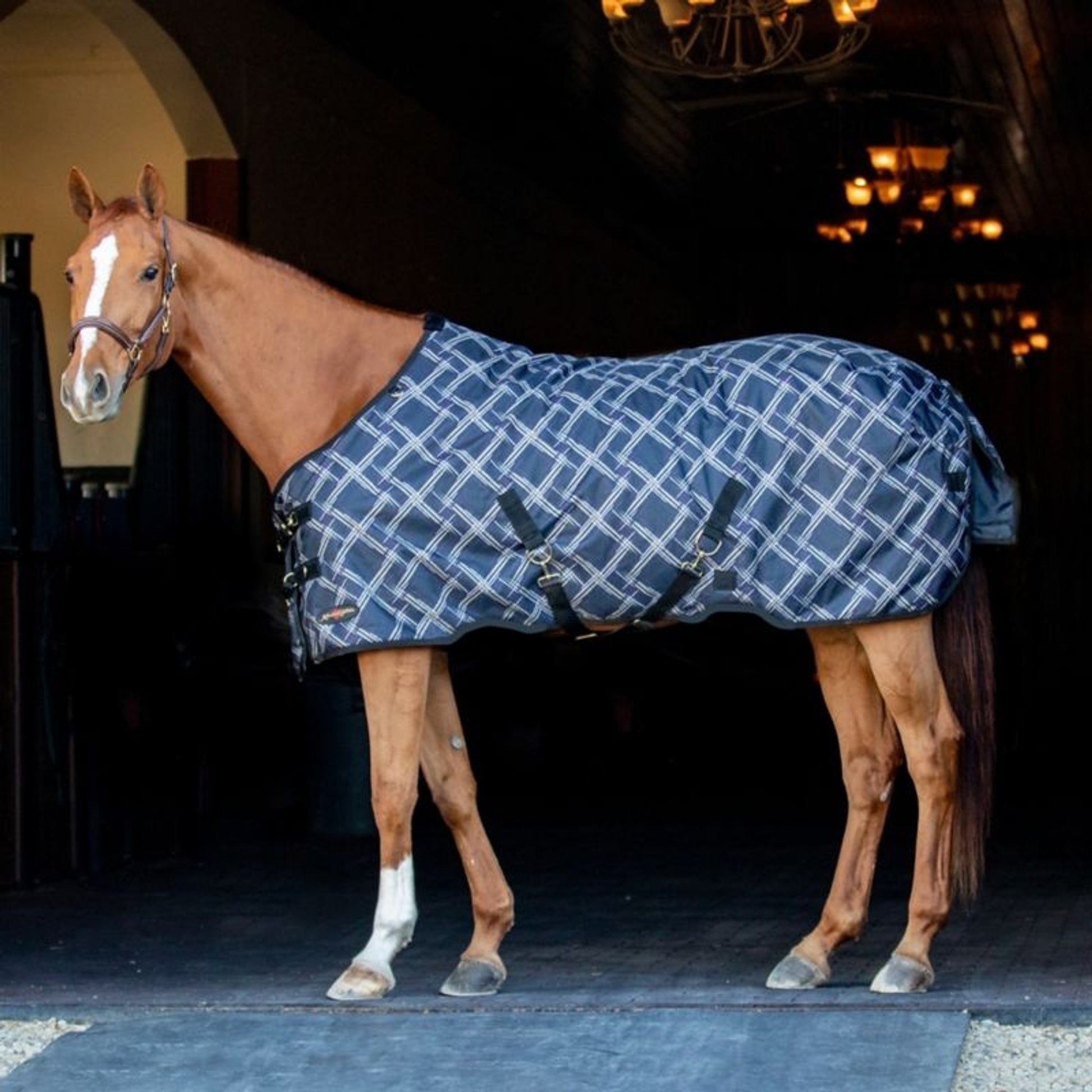 Kensington Pony 1200D Turnout 300g