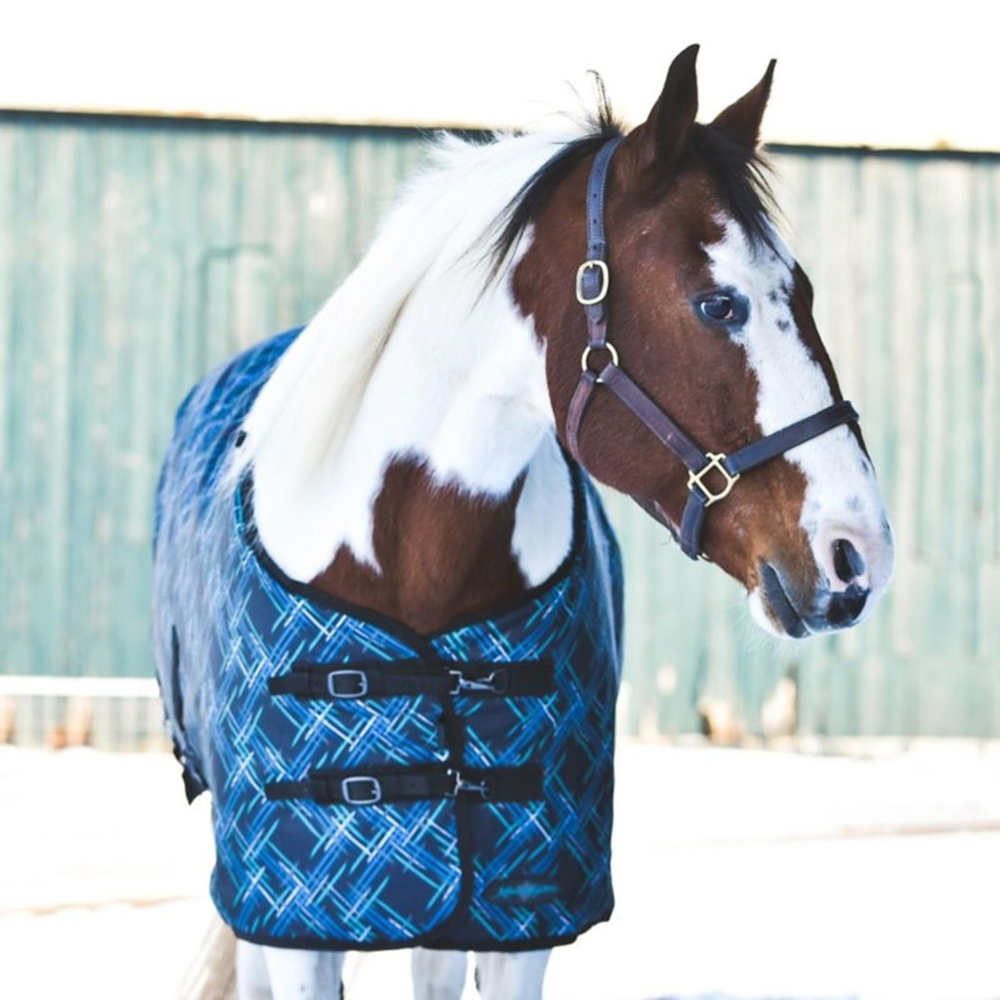 Kensington Pony 1200D Turnout 300g