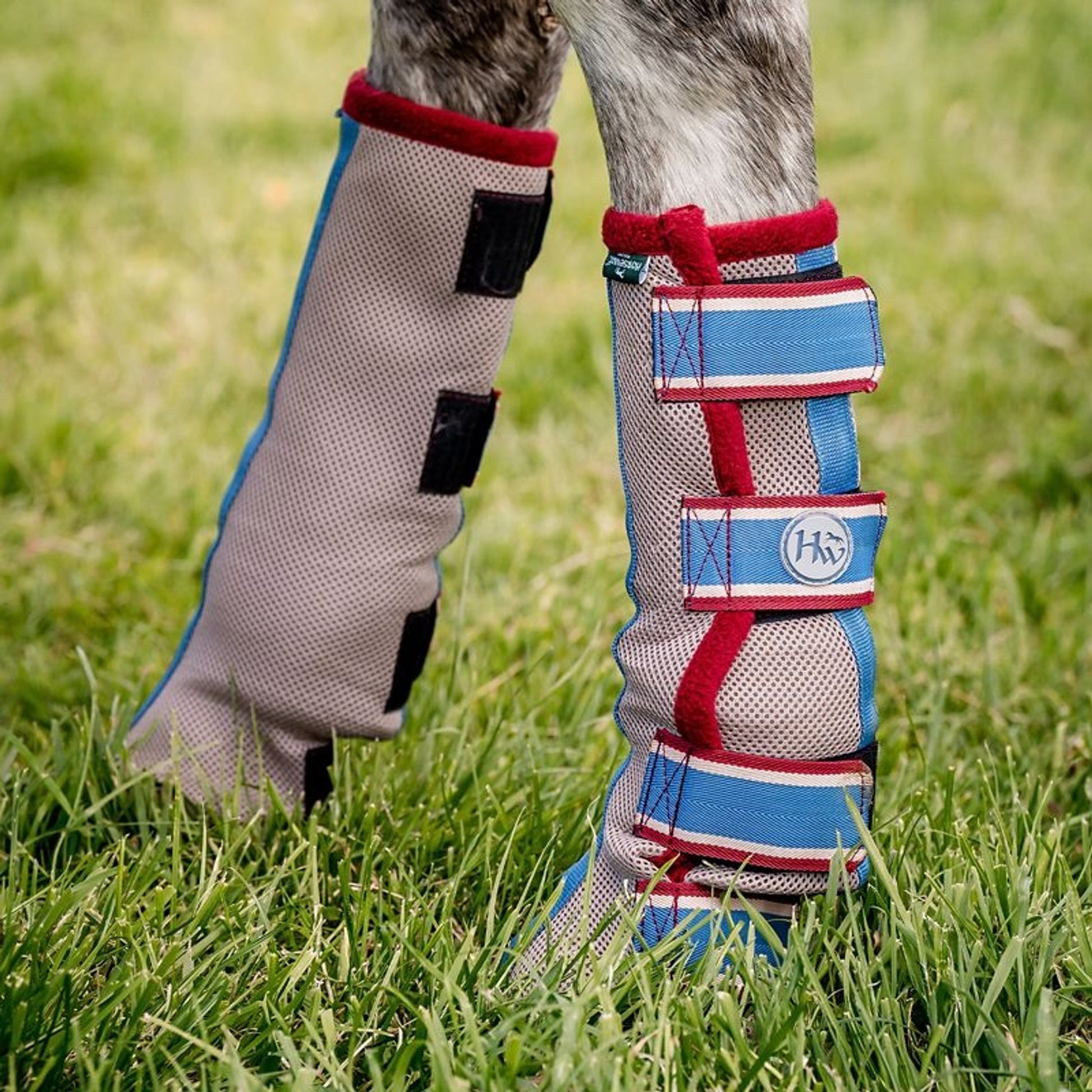 Horseware Flyboots