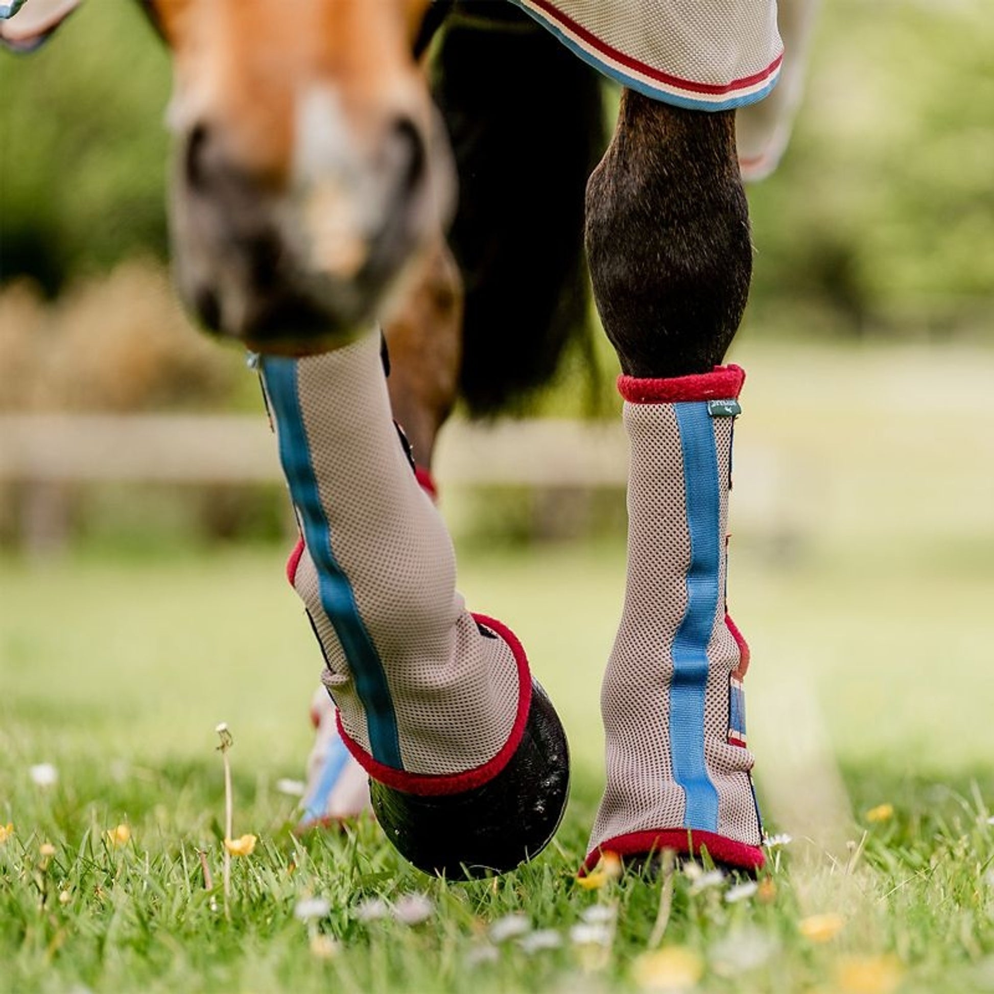 Horseware Flyboots