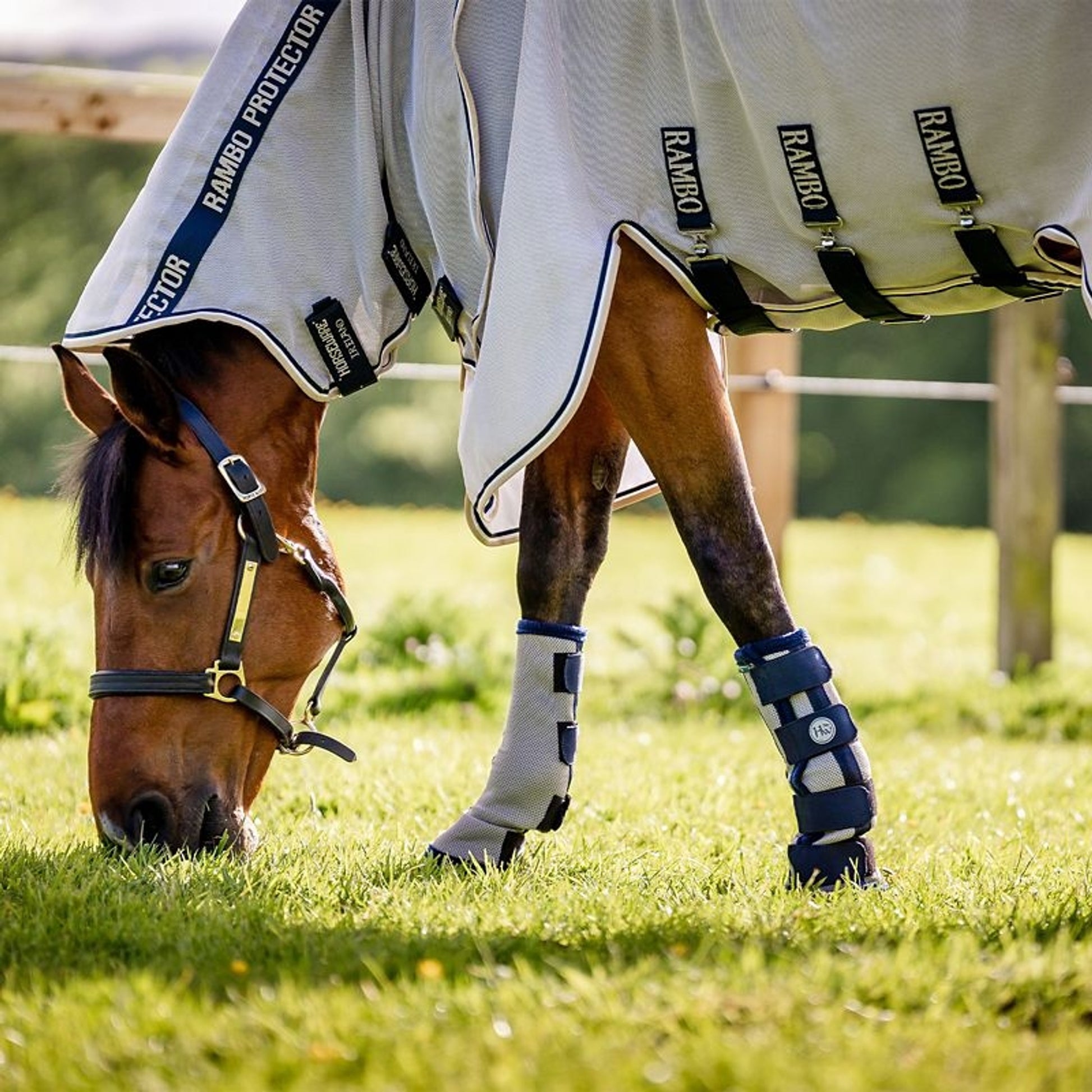 Horseware Flyboots