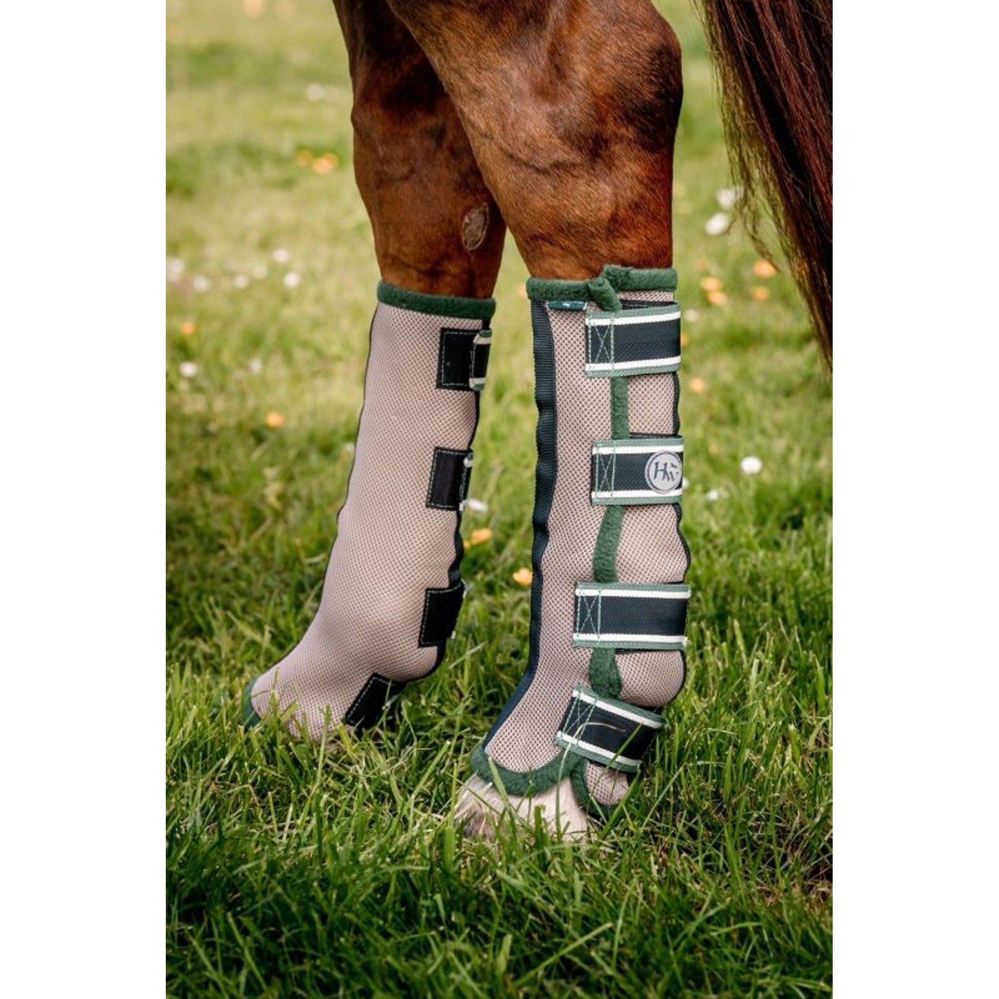 Horseware Flyboots