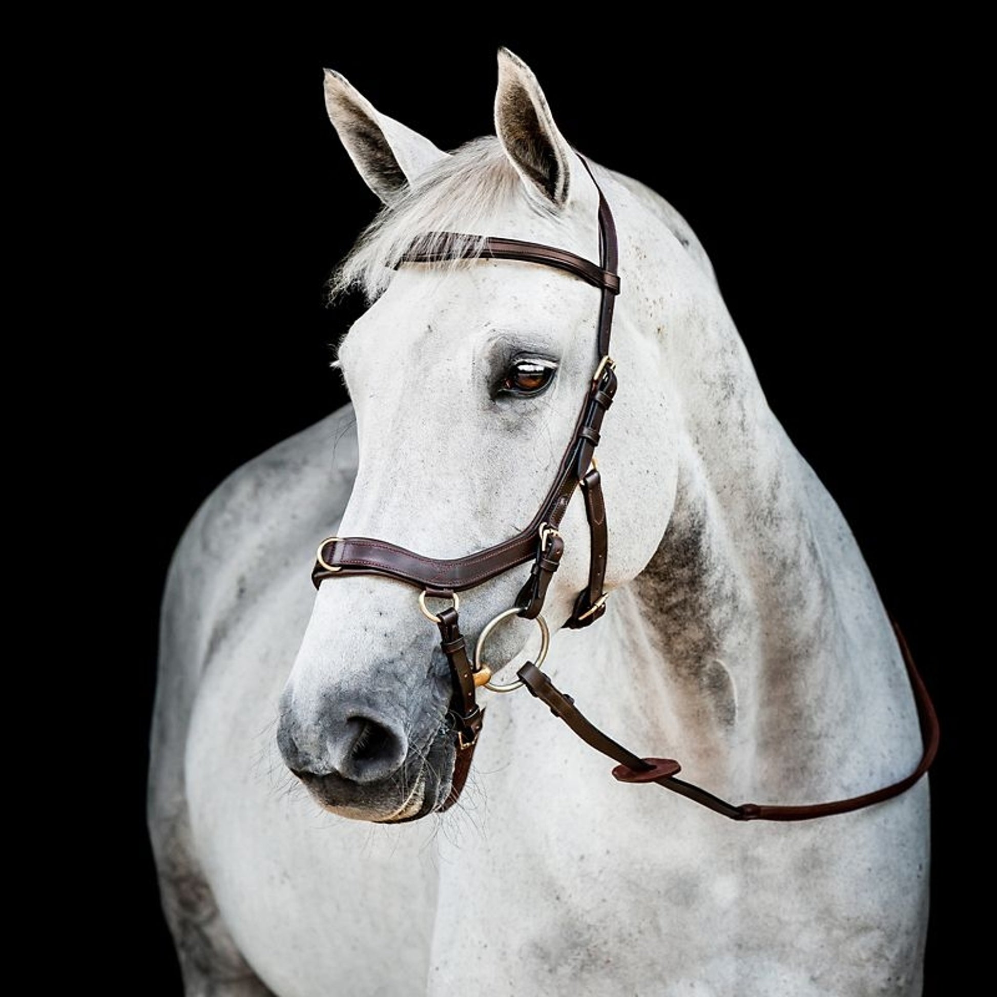 Horseware Micklem 2 Multi Bridle