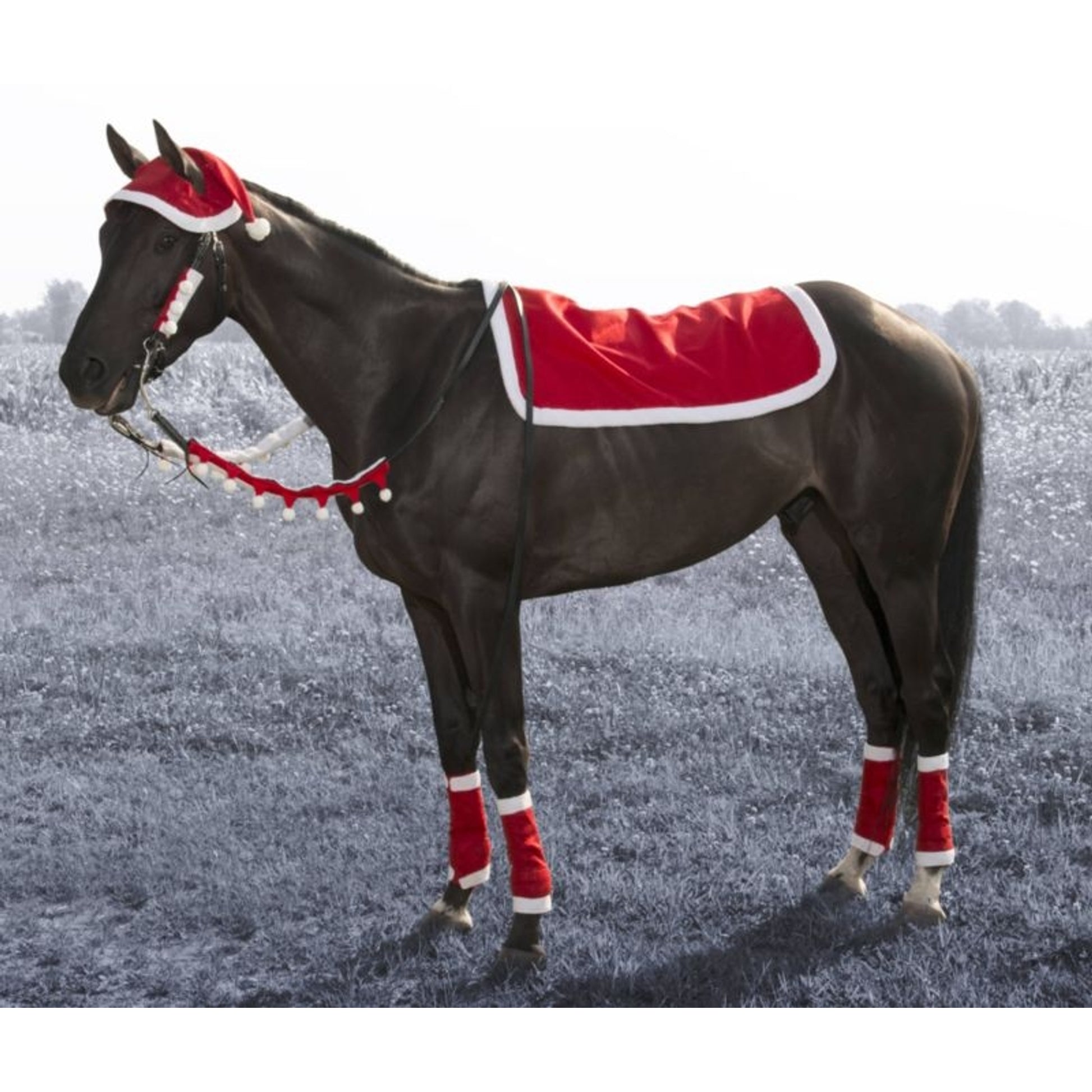 Tough1 5 Piece Western Holiday Set Santa