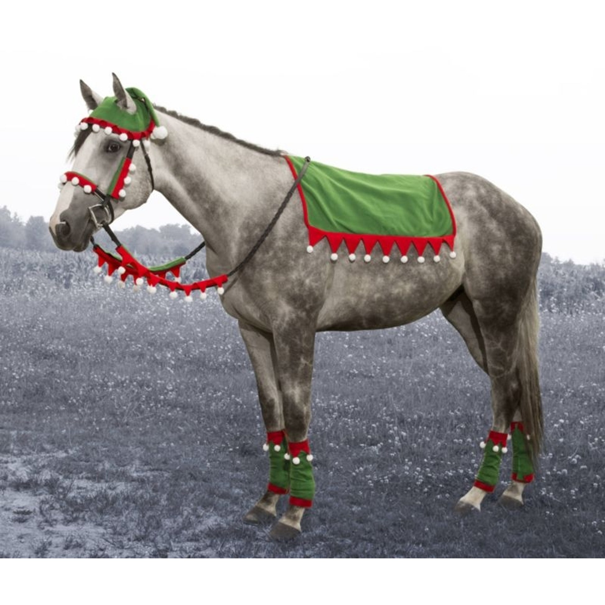 Tough1 5 Piece English Holiday Set Elf