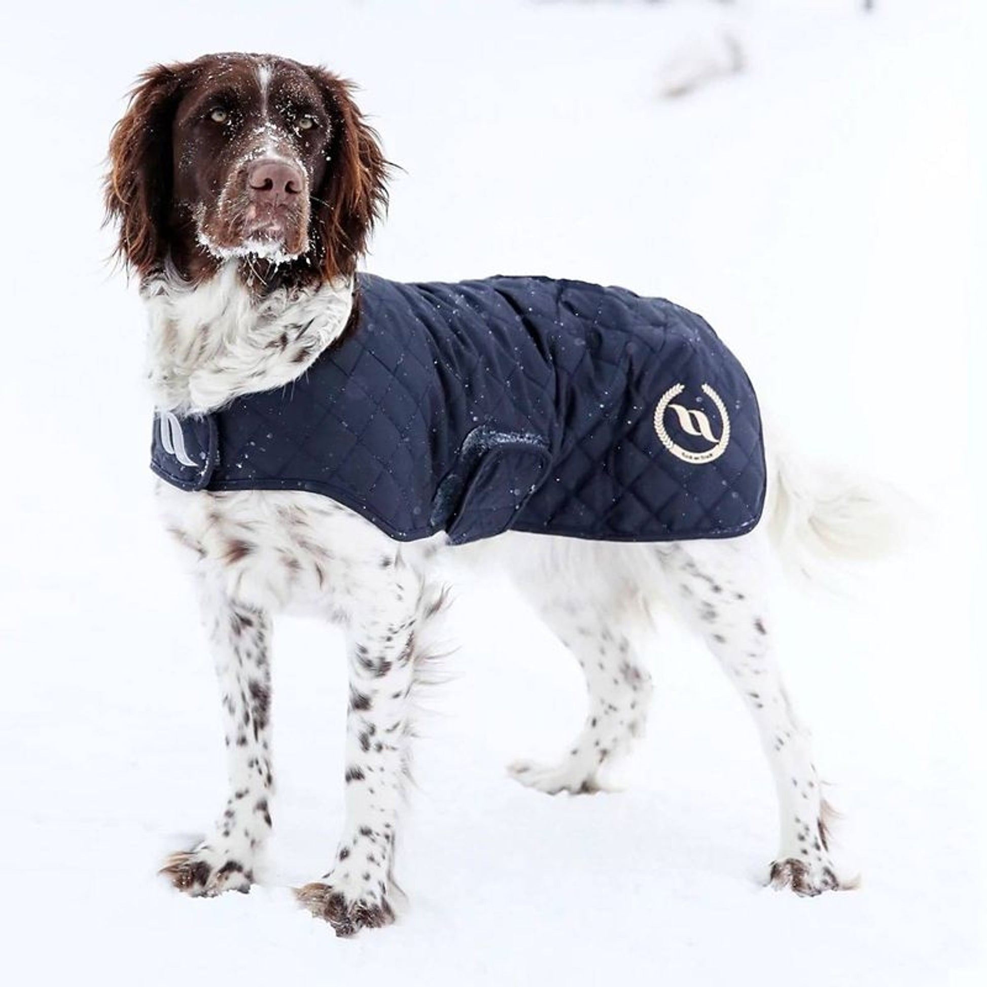 Back On Track Nights Collection Dog Coat