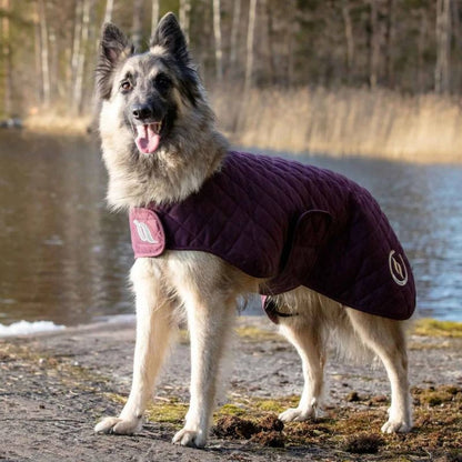 Back On Track Nights Collection Dog Coat