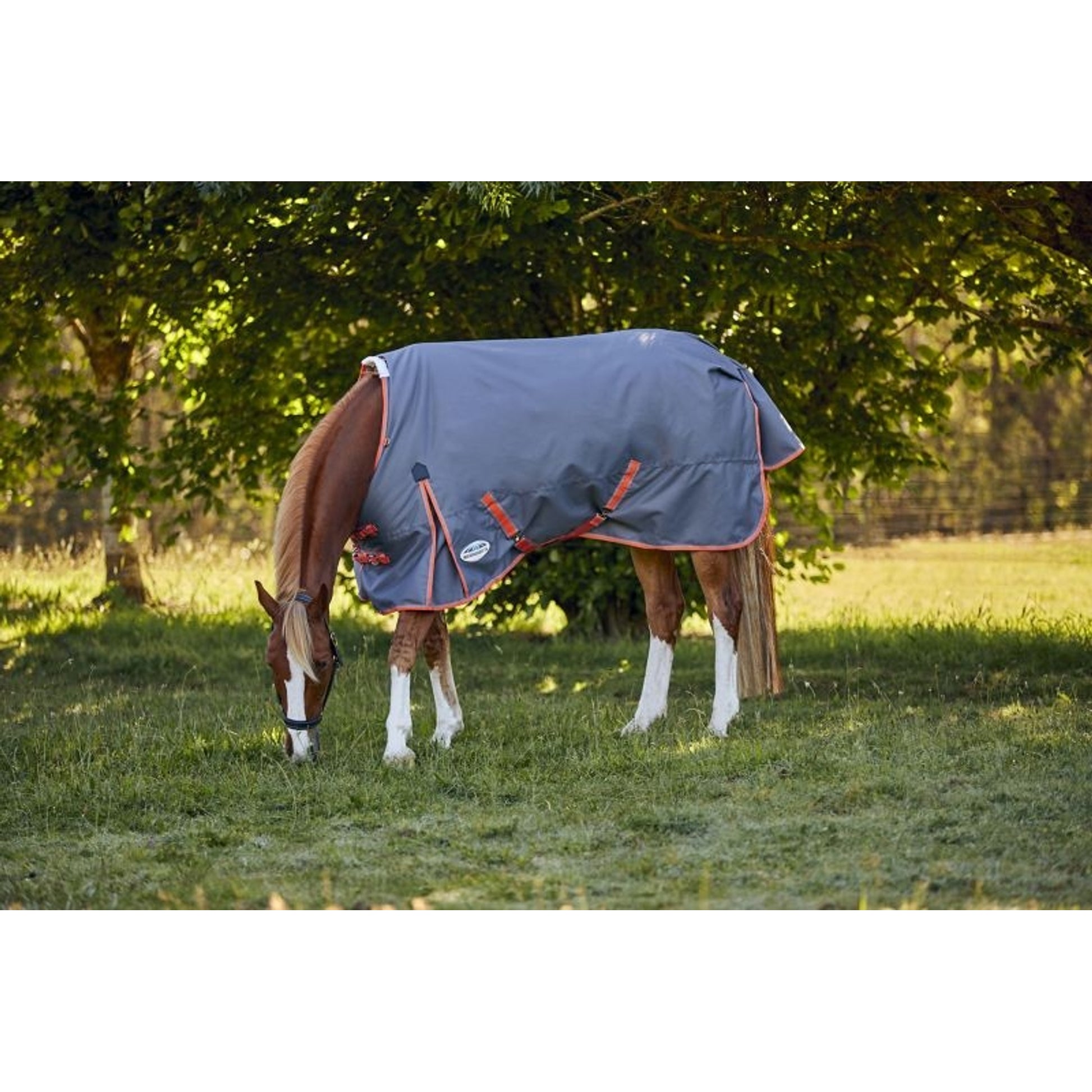 Weatherbeeta ComFiTec Essential Plus Standard Neck Medium