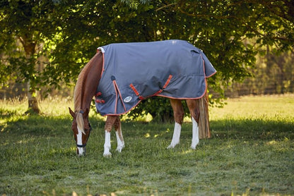 Weatherbeeta ComFiTec Essential Plus Standard Neck Medium
